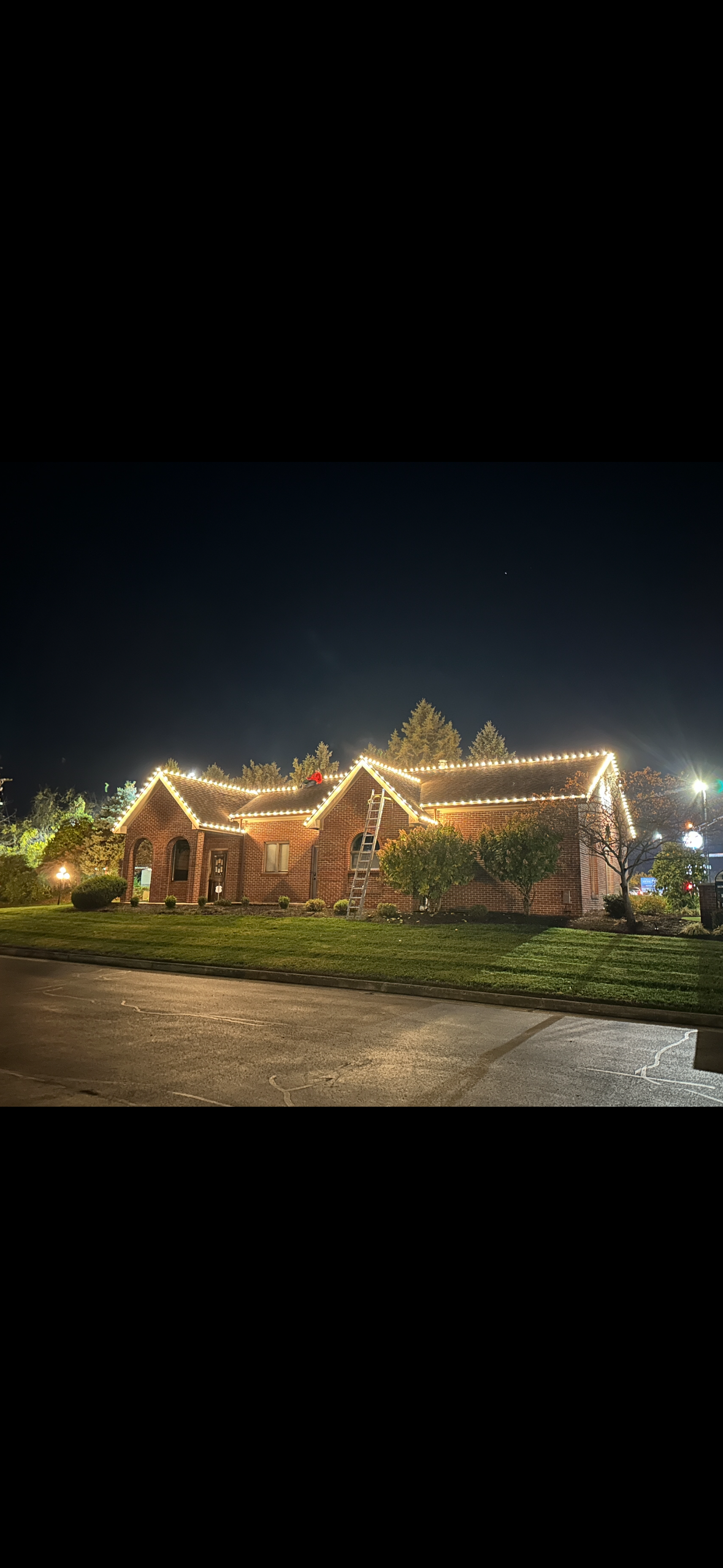 Professional Christmas lights on home